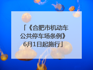 《合肥市机动车公共停车场条例》6月1日起施行