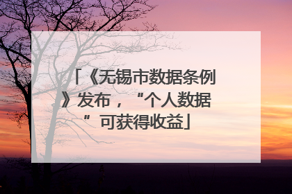 《无锡市数据条例》发布，“个人数据”可获得收益