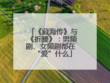 《藏海传》与《折腰》：男频剧、女频剧都在“爱”什么