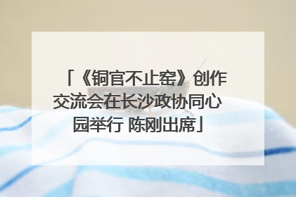 《铜官不止窑》创作交流会在长沙政协同心园举行 陈刚出席