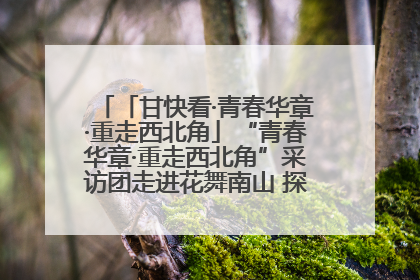 「甘快看·青春华章·重走西北角」“青春华章·重走西北角”采访团走进花舞南山 探寻天水乡村振兴之路