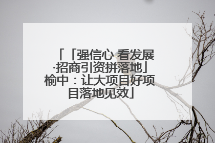 「强信心 看发展·招商引资拼落地」榆中：让大项目好项目落地见效