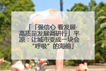 「强信心 看发展·高质量发展调研行」平凉：让城市变成一块会“呼吸”的海绵