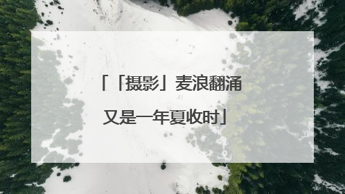 「摄影」麦浪翻涌 又是一年夏收时