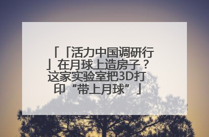 「活力中国调研行」在月球上造房子？这家实验室把3D打印“带上月球”
