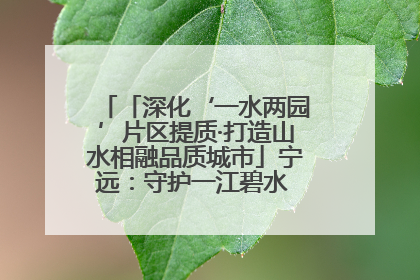 「深化‘一水两园’片区提质·打造山水相融品质城市」宁远：守护一江碧水 共享幸福河湖