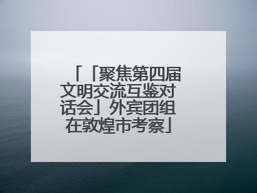 「聚焦第四届文明交流互鉴对话会」外宾团组在敦煌市考察
