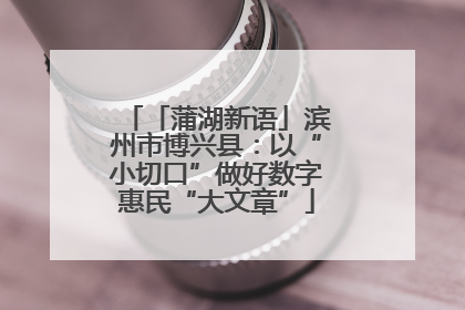 「蒲湖新语」滨州市博兴县：以“小切口”做好数字惠民“大文章”