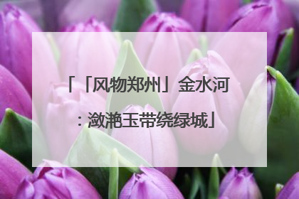 「风物郑州」金水河：潋滟玉带绕绿城