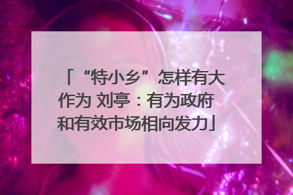 “特小乡”怎样有大作为 刘亭：有为政府和有效市场相向发力