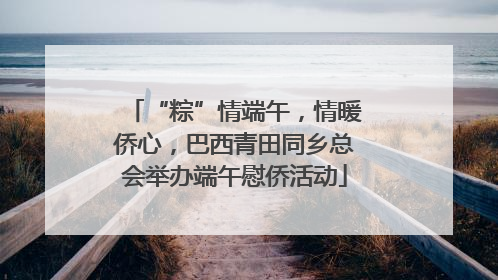 “粽”情端午，情暖侨心，巴西青田同乡总会举办端午慰侨活动