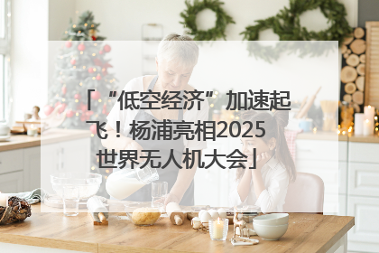 “低空经济”加速起飞！杨浦亮相2025世界无人机大会