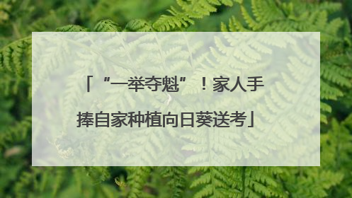 “一举夺魁”！家人手捧自家种植向日葵送考