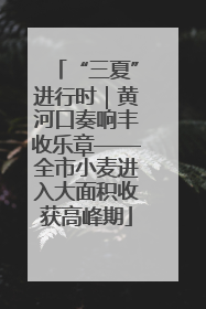 “三夏”进行时｜黄河口奏响丰收乐章——全市小麦进入大面积收获高峰期