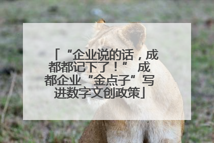 “企业说的话，成都都记下了！” 成都企业“金点子”写进数字文创政策