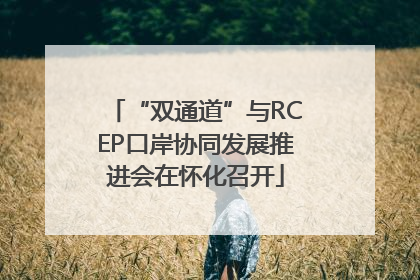 “双通道”与RCEP口岸协同发展推进会在怀化召开