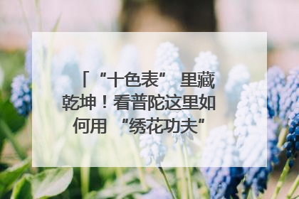 “十色表” 里藏乾坤！看普陀这里如何用 “绣花功夫” 织就社区治理