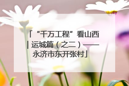 “千万工程”看山西｜运城篇（之二）——永济市东开张村