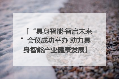 “具身智能·智启未来”会议成功举办 助力具身智能产业健康发展