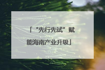 “先行先试”赋能海南产业升级