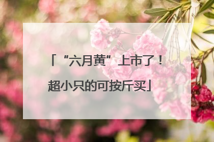 “六月黄”上市了！超小只的可按斤买