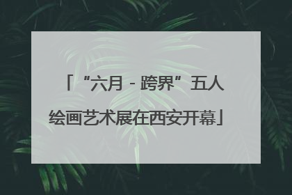 “六月 - 跨界”五人绘画艺术展在西安开幕