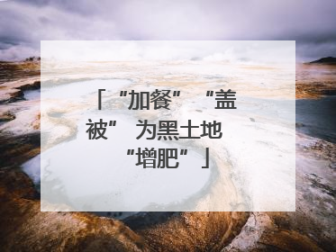 “加餐”“盖被” 为黑土地“增肥”