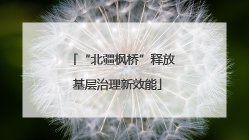“北疆枫桥”释放基层治理新效能