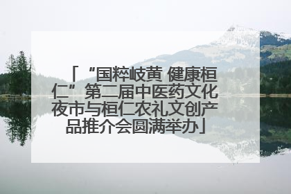 “国粹岐黄 健康桓仁”第二届中医药文化夜市与桓仁农礼文创产品推介会圆满举办