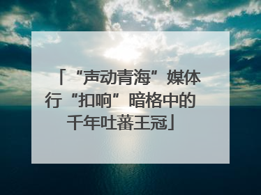 “声动青海”媒体行“扣响”暗格中的千年吐蕃王冠