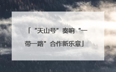 “天山号”奏响“一带一路”合作新乐章