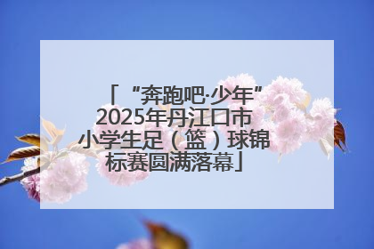 “奔跑吧·少年”2025年丹江口市小学生足（篮）球锦标赛圆满落幕