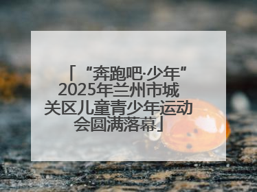 “奔跑吧·少年”2025年兰州市城关区儿童青少年运动会圆满落幕