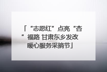 “志愿红”点亮“杏”福路 甘肃东乡发改暖心服务采摘节