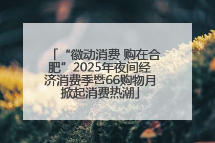 “徽动消费 购在合肥”2025年夜间经济消费季暨66购物月掀起消费热潮
