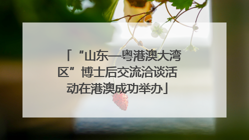 “山东—粤港澳大湾区”博士后交流洽谈活动在港澳成功举办