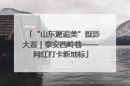 “山东邂逅美”摄影大赛｜泰安西岭巷——网红打卡新地标