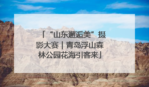 “山东邂逅美”摄影大赛｜青岛浮山森林公园花海引客来