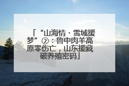 “山海情・雪域援梦”②：鲁中肉羊高原零伤亡，山东援藏破养殖密码