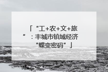 “工+农+文+旅”：丰城市镇域经济“蝶变密码”