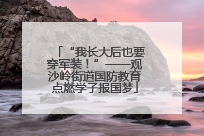 “我长大后也要穿军装！”——观沙岭街道国防教育点燃学子报国梦