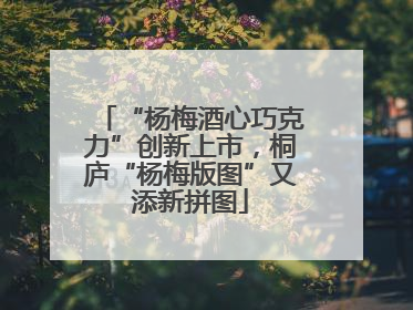 “杨梅酒心巧克力”创新上市，桐庐“杨梅版图”又添新拼图