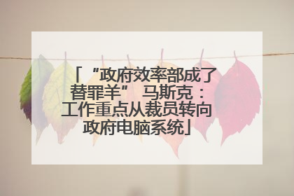 “政府效率部成了替罪羊” 马斯克：工作重点从裁员转向政府电脑系统