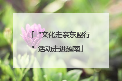 “文化走亲东盟行”活动走进越南