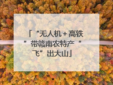 “无人机＋高铁”带赣南农特产“飞”出大山