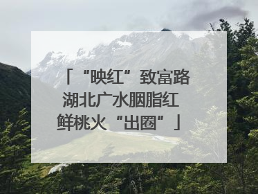 “映红”致富路 湖北广水胭脂红鲜桃火“出圈”