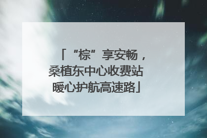 “棕”享安畅，桑植东中心收费站暖心护航高速路