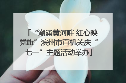 “潮涌黄河畔 红心映党旗”滨州市直机关庆“七一”主题活动举办