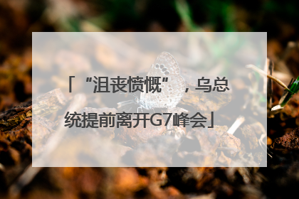 “沮丧愤慨”，乌总统提前离开G7峰会