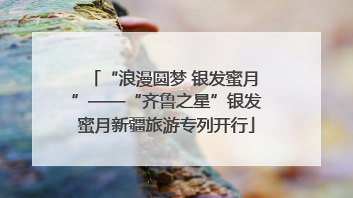 “浪漫圆梦 银发蜜月”——“齐鲁之星”银发蜜月新疆旅游专列开行